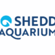 Shedd Aquarium